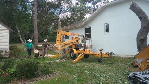 09 Tree Cutting Service Citrus County